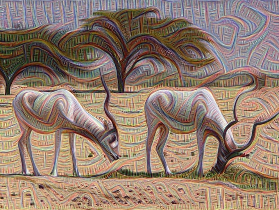 Ein DeepDream-Bild von Antilopen.