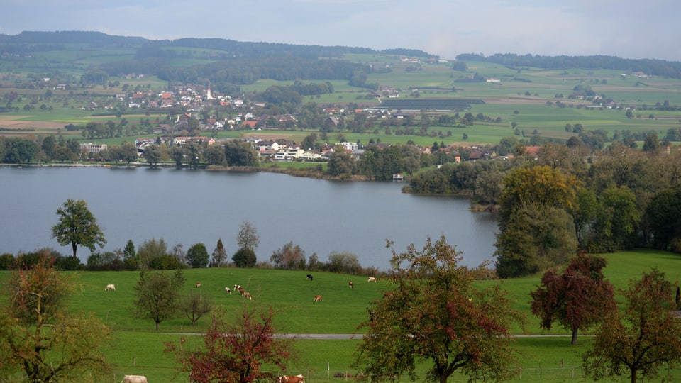 Näher am See - Es geht vorwärts mit dem Rundweg um den Baldeggersee - News - SRF