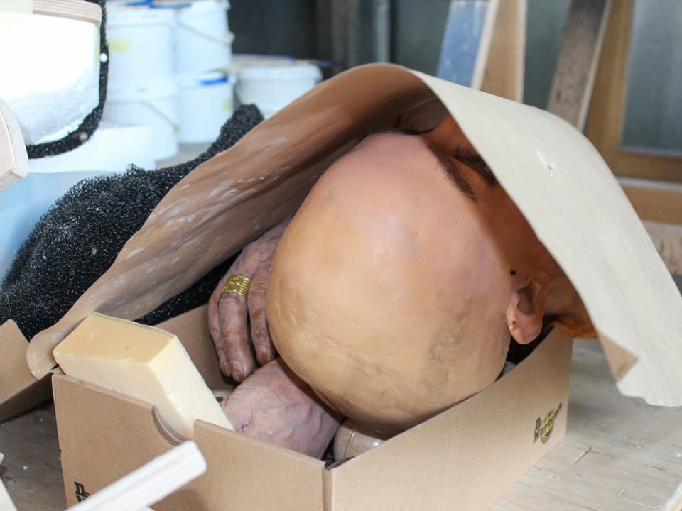 Ein nachgebauter Kopf liegt in einer Box