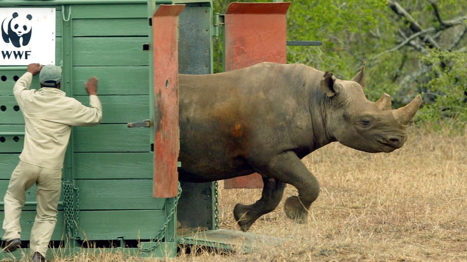 Der WWF hat ein Problem mit den Menschenrechten