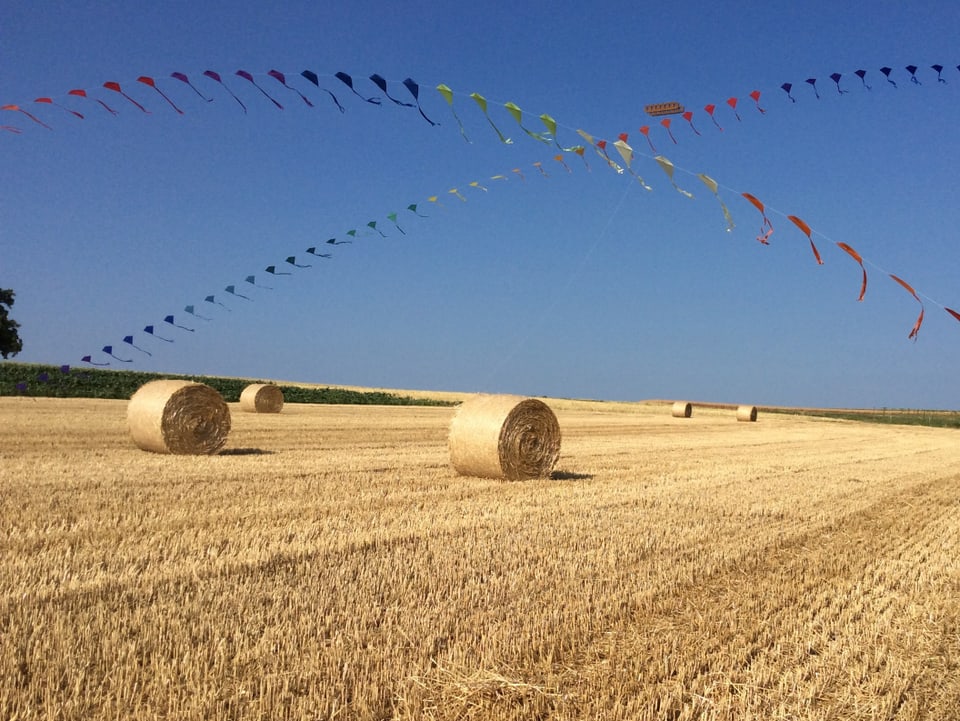 Der Weizen ist geerntet und liegt in Ballen auf dem Feld. Der Himmel ist stahltblau. Über dem Feld werden Drachen fliegen gelassen, diese sind an einem Seil zusammengebunden.
