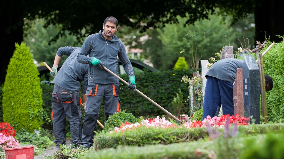 Asylbewerber führen Gartenarbeiten auf dem Friedhof aus 