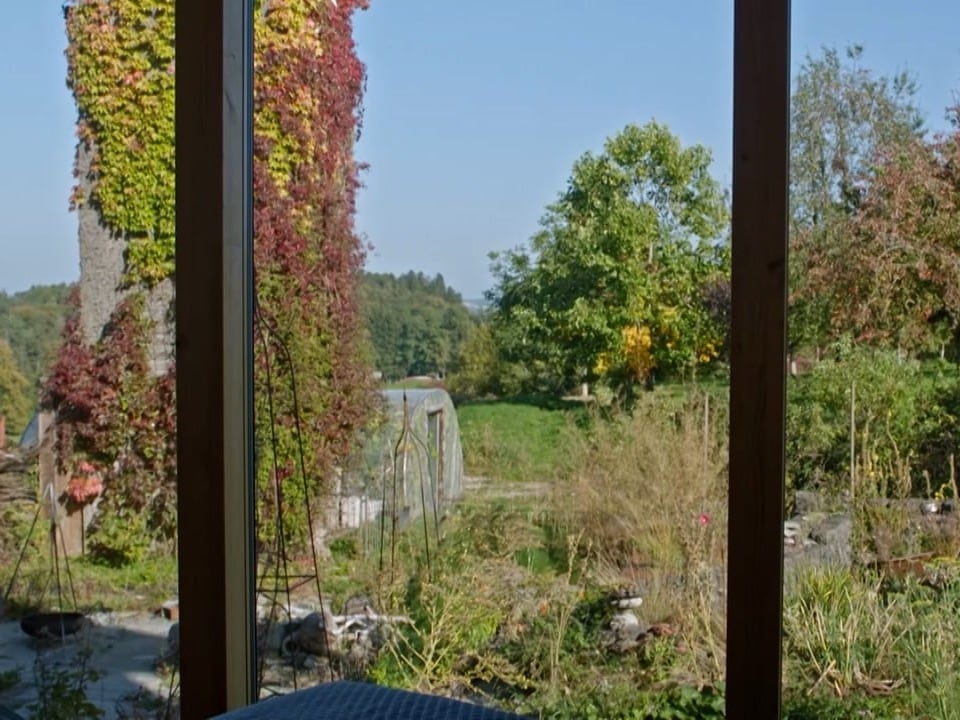 Ein Blick aus dem Fenster in einen farbigen Garten.