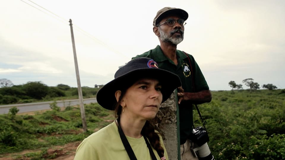 Jennifer Pastorini und ihr Mann Prithividaj Fernando sind ein erfahrenes Elefantenforscherpaar. 