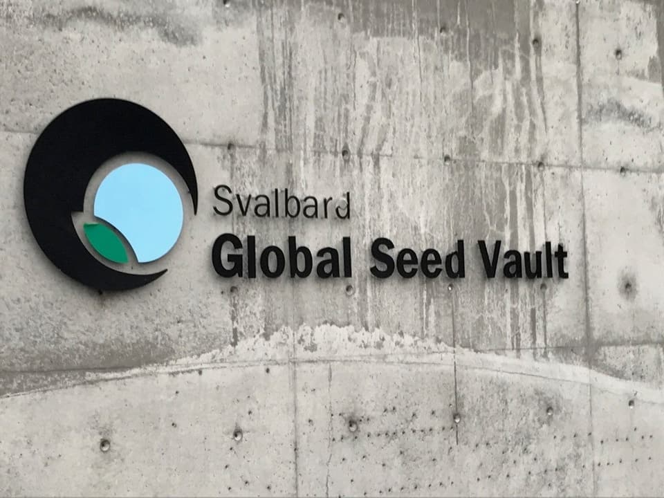 Logo Global Seed Vault auf Wand.
