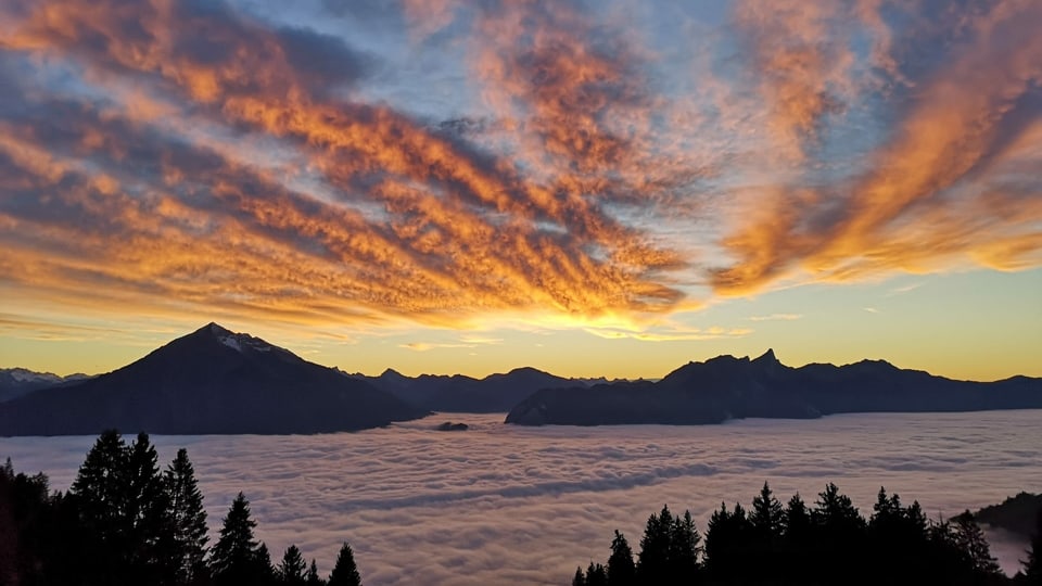 Höhenkaltluft kommt Blick von Sigriswil auf das Nebelmeer, dahinter der Niesen im Abendlicht.