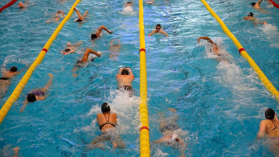 Schwimmer ziehen im Wasser ihre Bahnen.