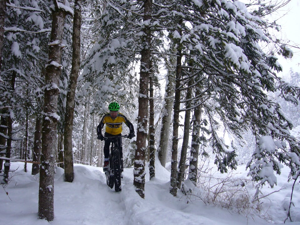 Ein Mountainbiker fährt mit extrem breiten Pneus durch den Schnee.