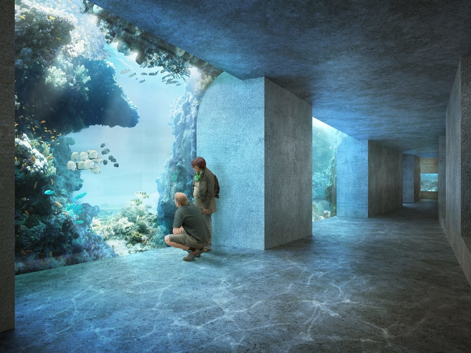 Ein fiktiver Blick vom innern des geplanten Ozeaniums in Basler Zoo.