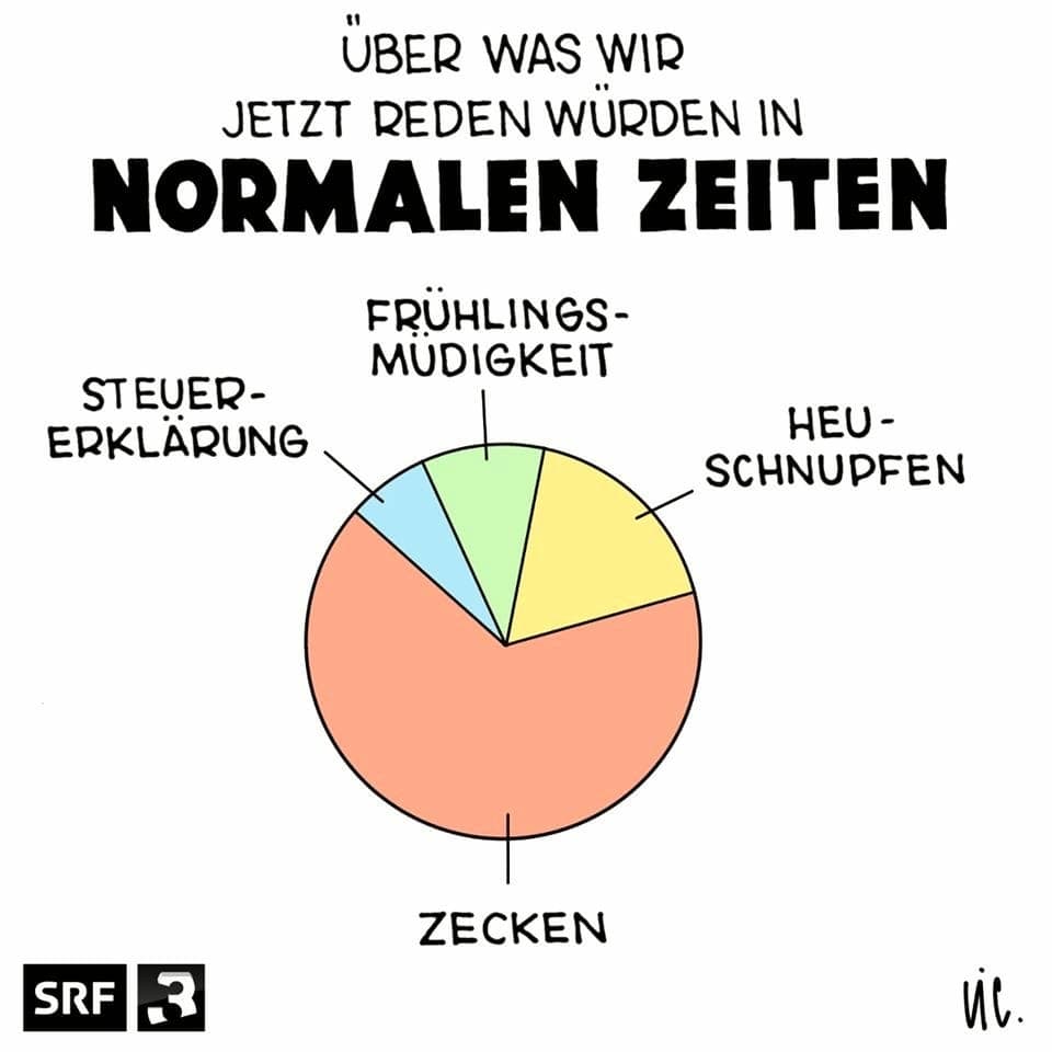 SRF 3-Cartoon