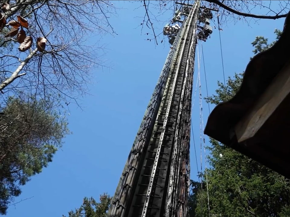 Die ganze Antenne mit vielen verbrannten Stellen. 