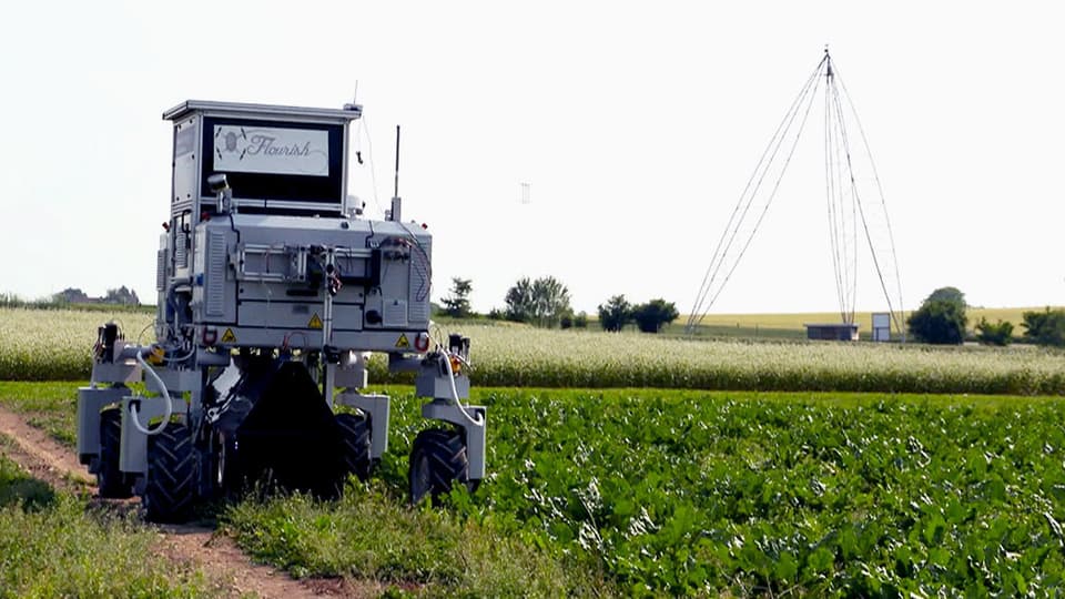 Roboter auf Gemüsefeld.