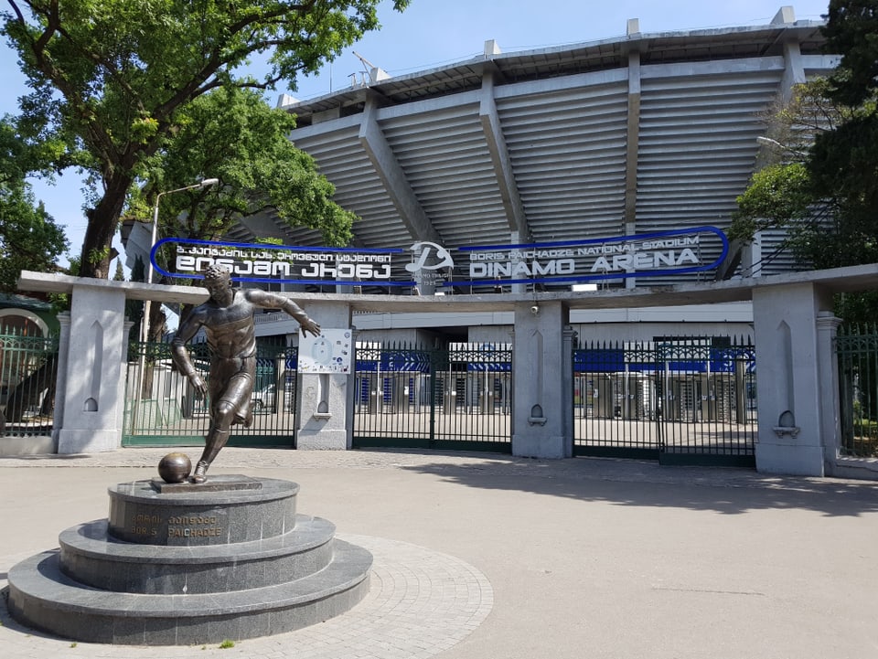 Boris Paichadze Dinamo Arena 