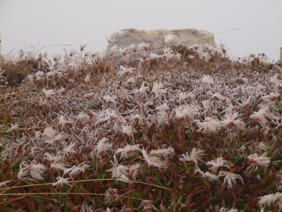 Der Passo del Scengio im Averstal steckte am Samstagmorgen im Nebel und es war frostig.