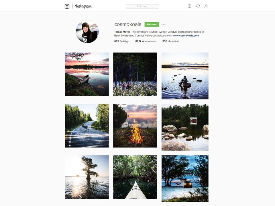 Ansicht des Instagram-Profils von Tobias Meyer: 9 Bilder zu einer Fotowand angeordnet.