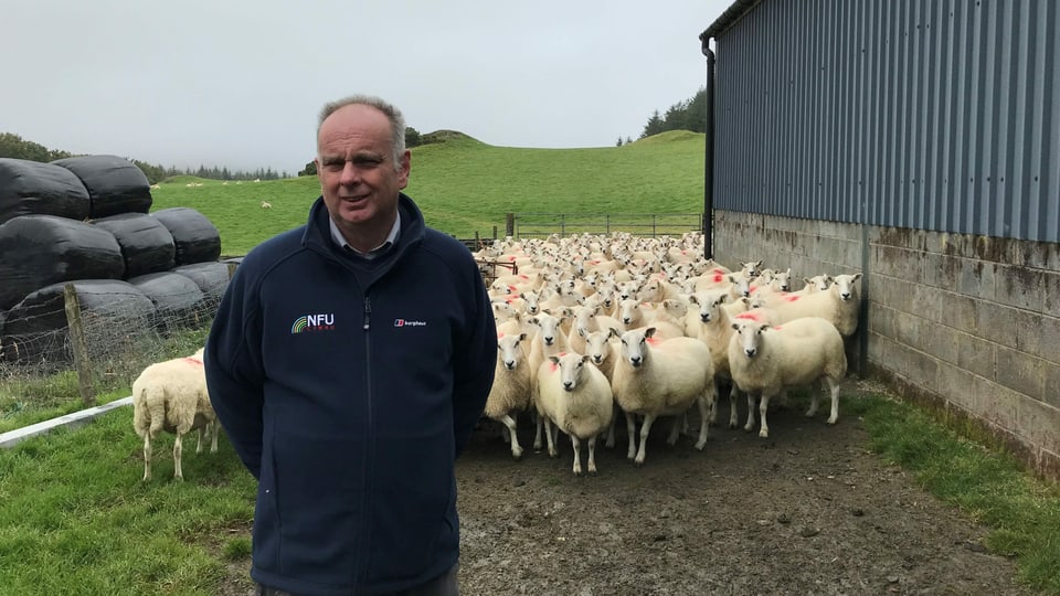 Wyn Evans steht vor seiner Schaf-Herde.