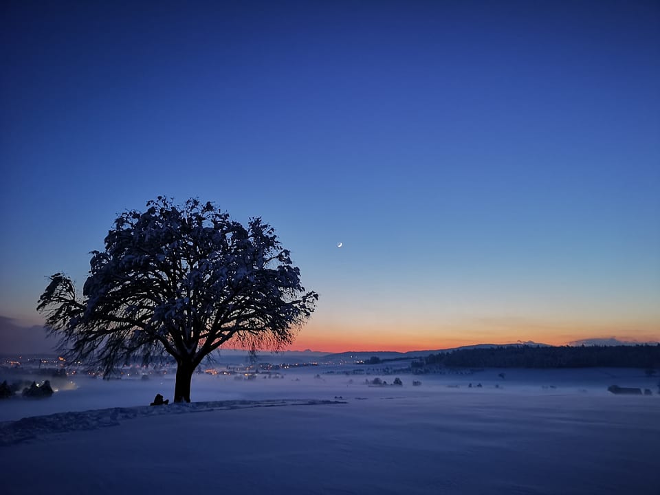 Winterlandschaft während der Blauen Stunde (Himmel blau).