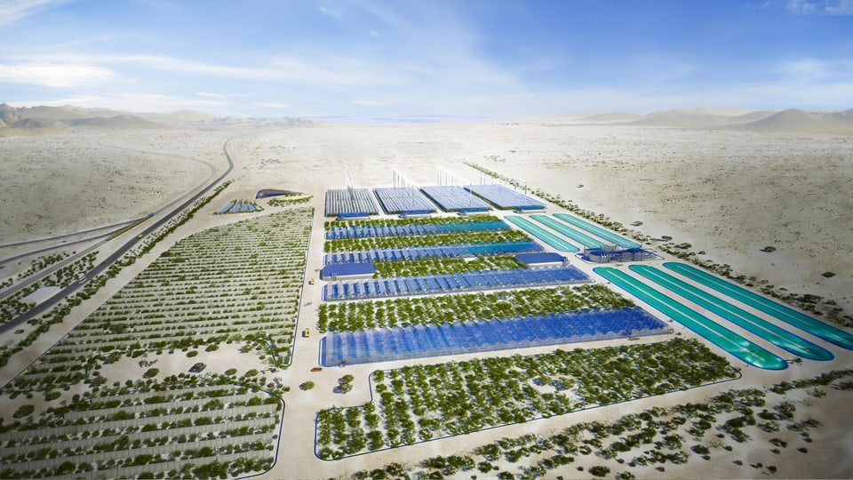 Bild der Pilotanlage des Sahara Porest Project von oben.