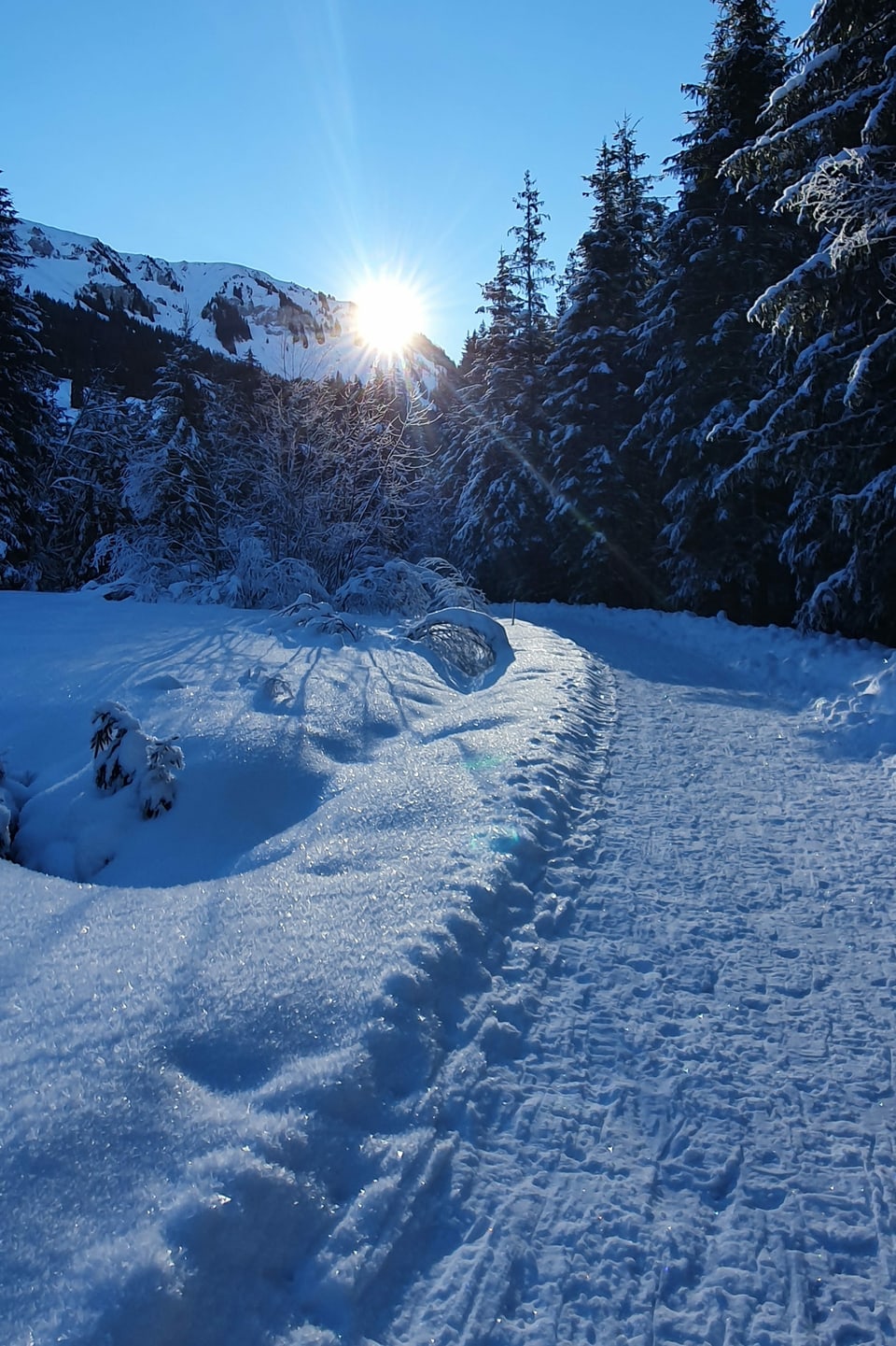 Verschneite Winterlandschaft mit Sonnenschein.