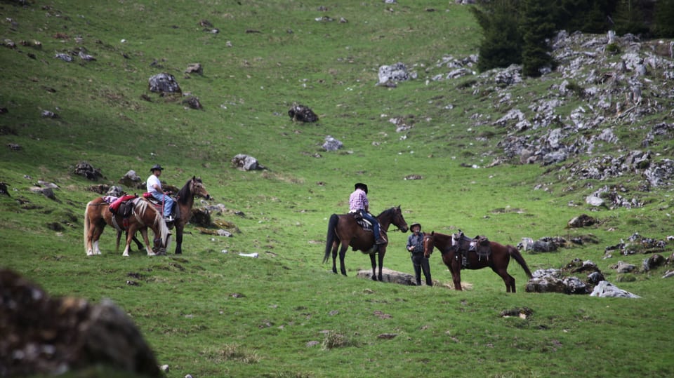 Pferde und Cowboys in Entlebucher Landschaft