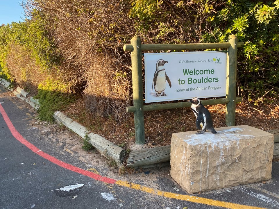 Pinguin vor einem Schild.