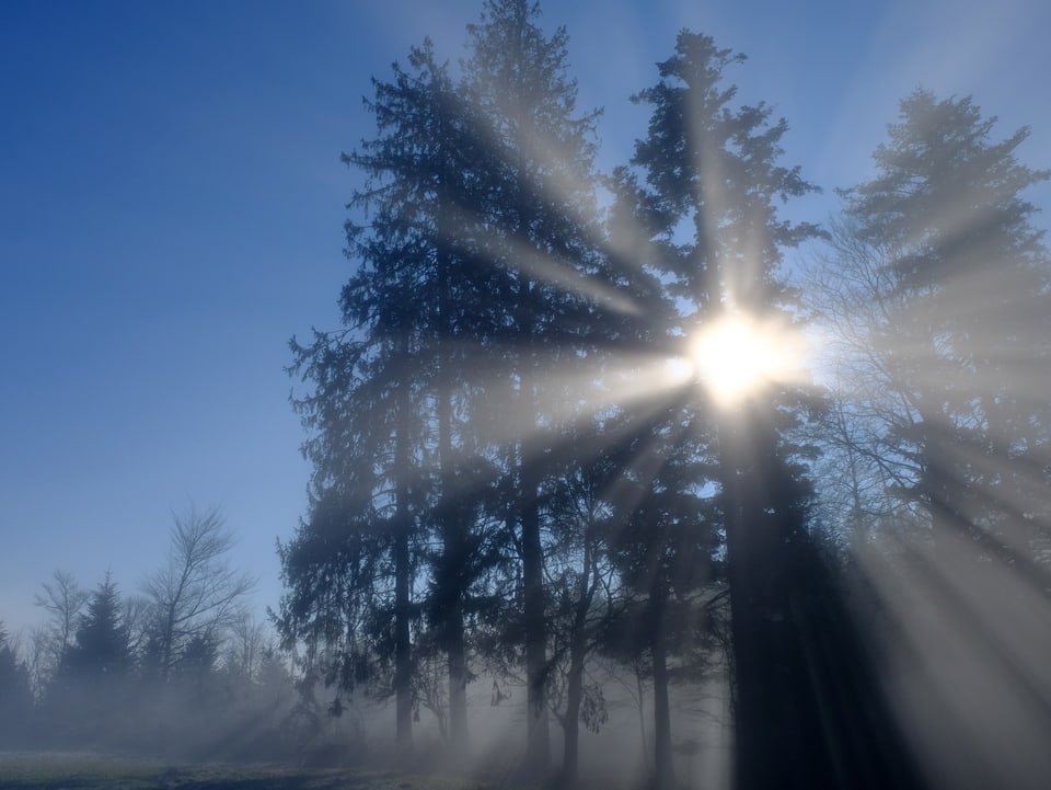 Sonnenstrahlen hinter Nebel