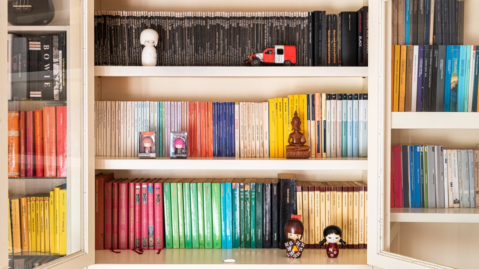 Bücherregal mit nach Farben sortierten Büchern: Oben schwarz, Mitte weiss bis gelb, unten rot und grün.