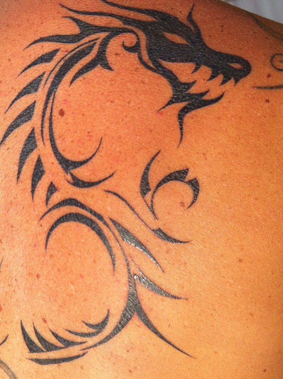 Löwen-Tattoo von Sandra Suess.