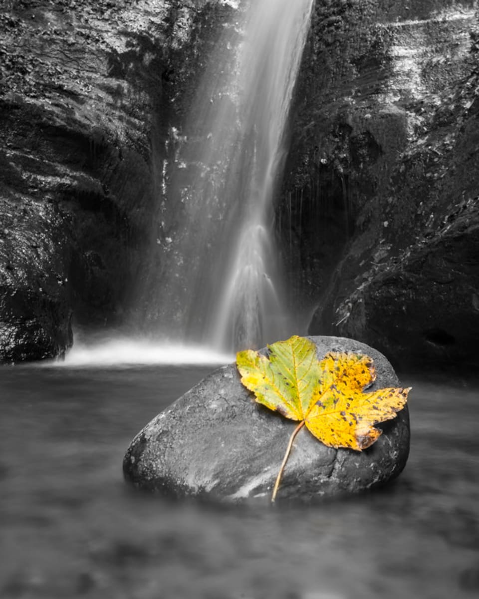 Ein Wasserfall und ein Blatt auf einem Stein.