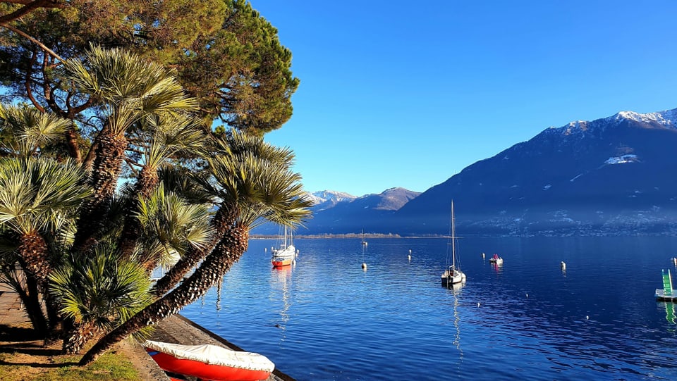 Blick auf den Lago Maggiore bei Locarno, darüber ein wolkenloser Himmel.