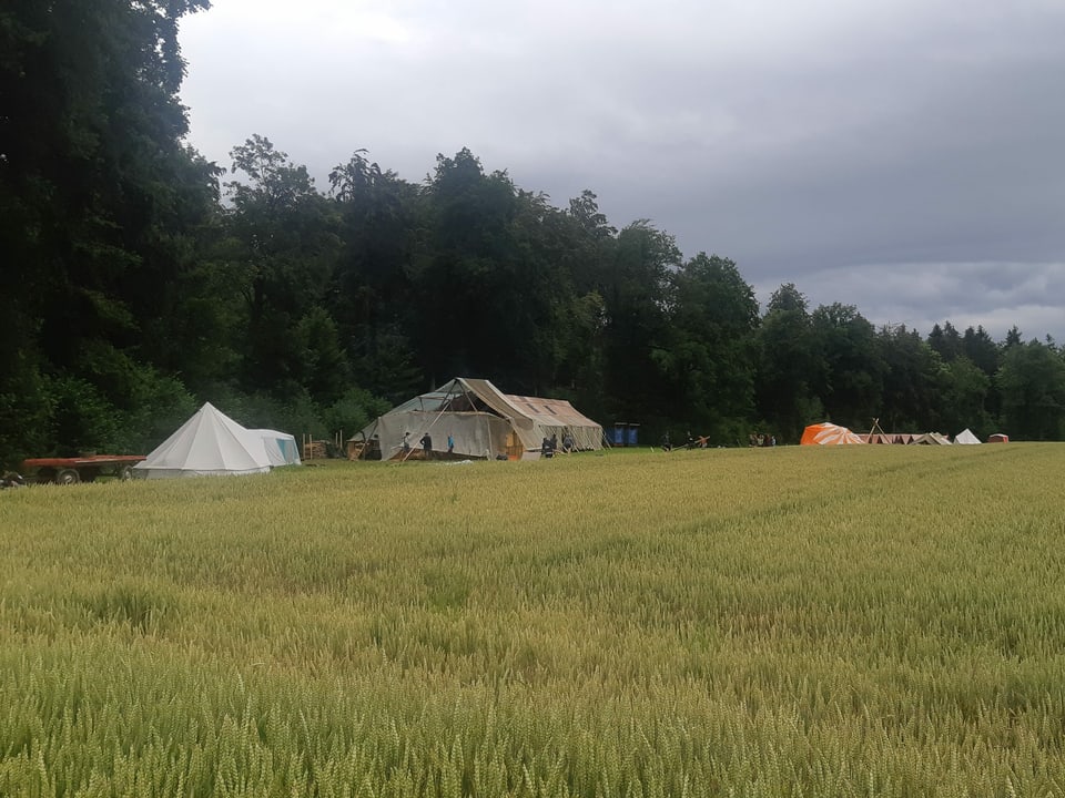 Blick über ein Feld auf Zelte