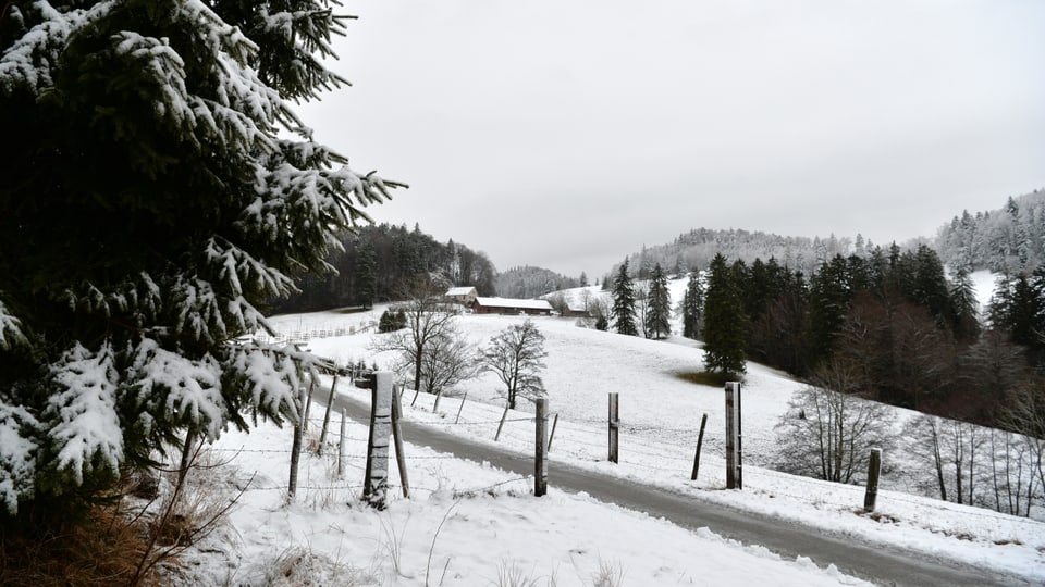 Am Sonntagmorgen lag am Bretzwiler Stierenberg auf 900 Metern über Meer etwas Schnee.
