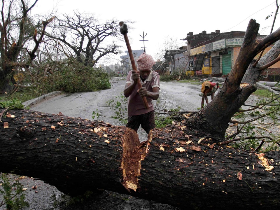 Ein Mann bearbeitet mit einem Beil einen umgekippten Baum.