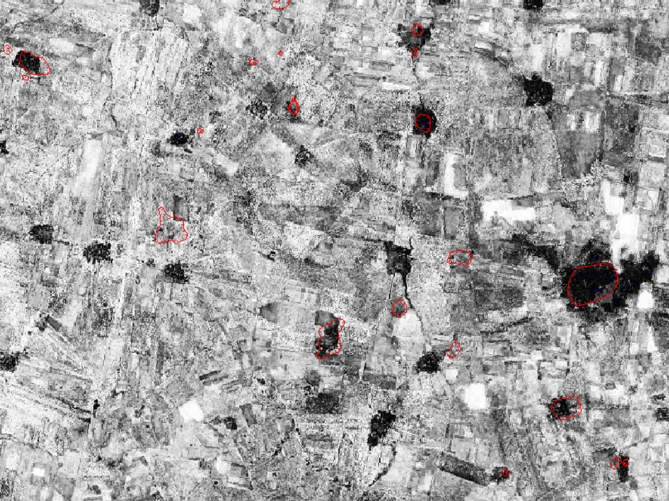Satellitenbild, auf dem Felder zu sehen sind, einige Gebiete sind rot eingekreist.