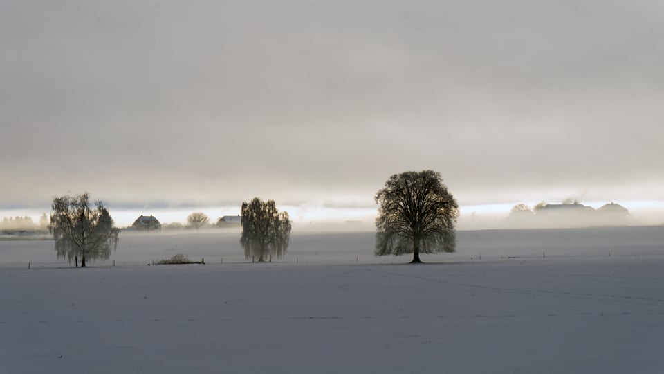 Blick über ein verschneites Feld in Konolfingen, knapp unter der Nebelschicht. Am Horizont ein kleiner Lichtstreifen.