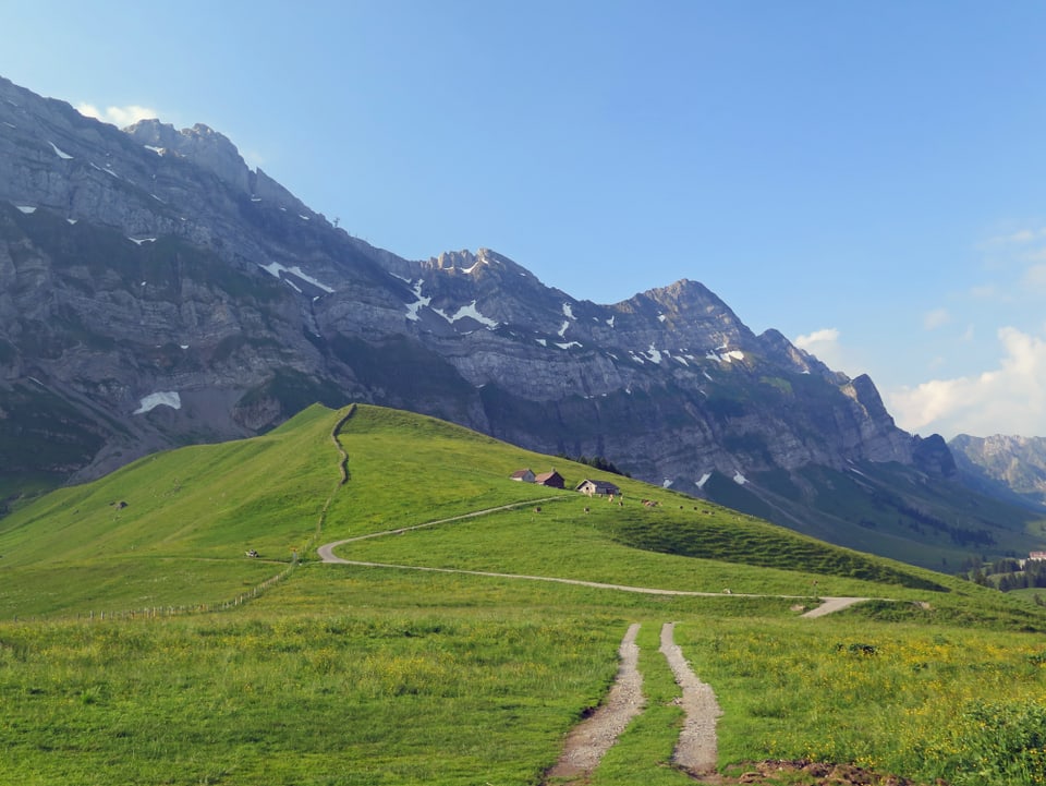 Wanderweg vor Alpstein-Panorama