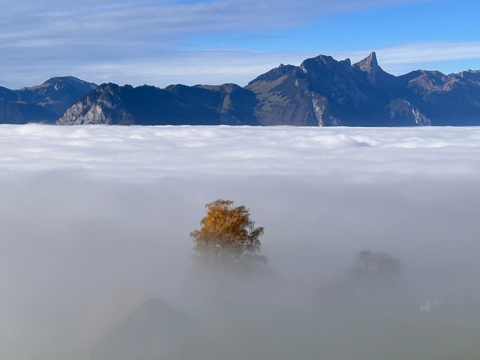 Oberhalb vom Thunersee / BE Blick aufs Nebelmeer.