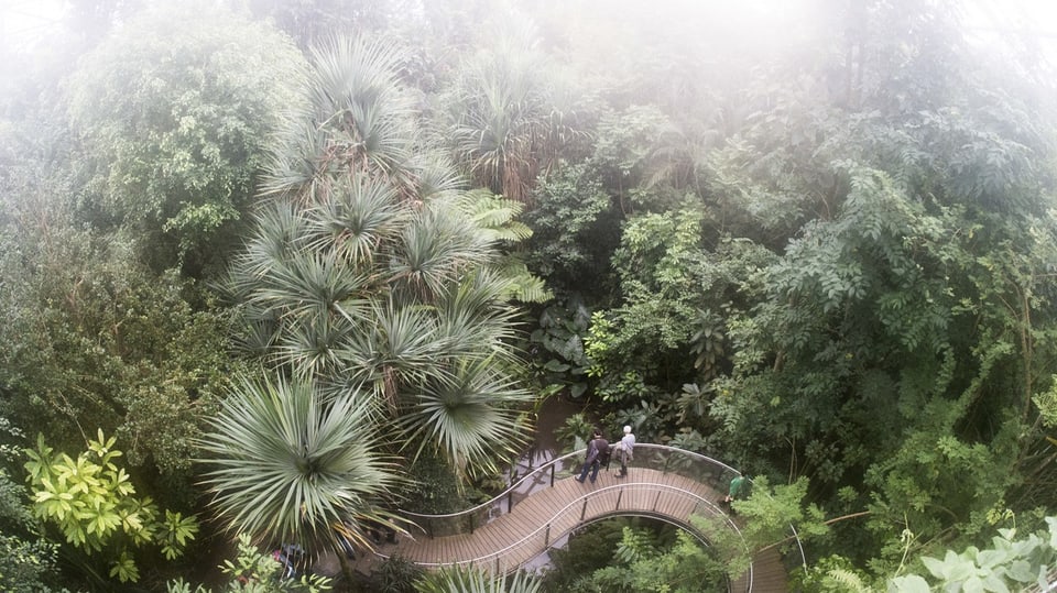 Die Masoala-Halle im Zoo Zürich: Ein Abbild des gleichnamigen Regenwalds in Madagaskar.