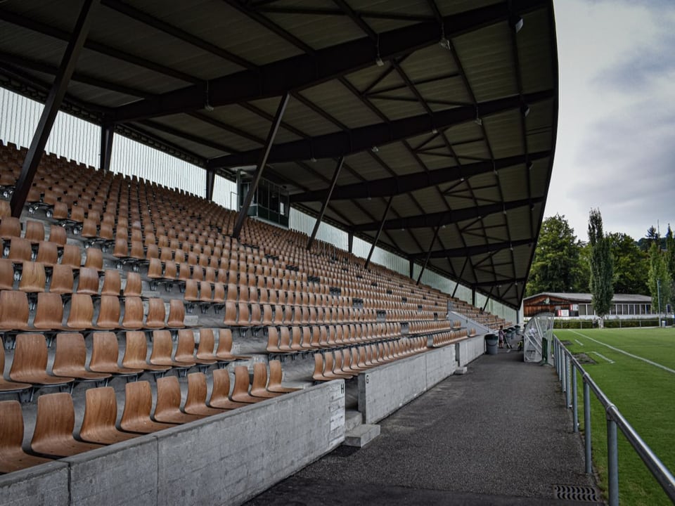 Braune Sitzschalen im Espenmoos