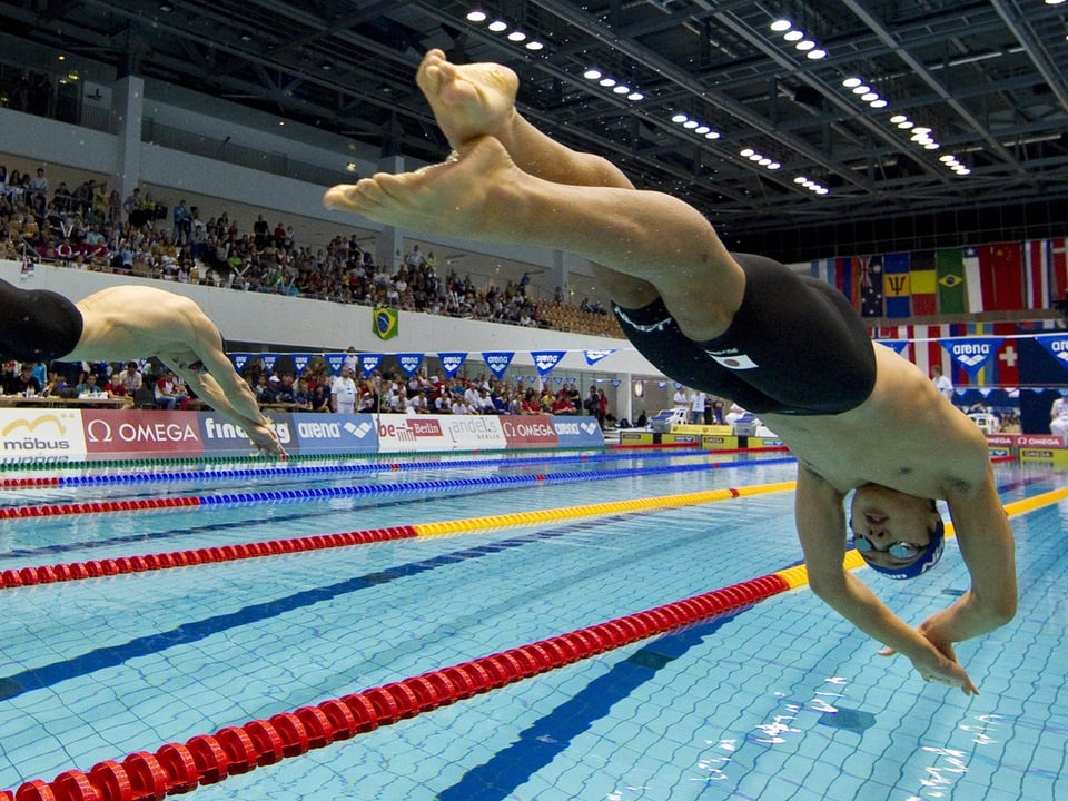 Ein Schwimmer springt beim Start ins Becken.