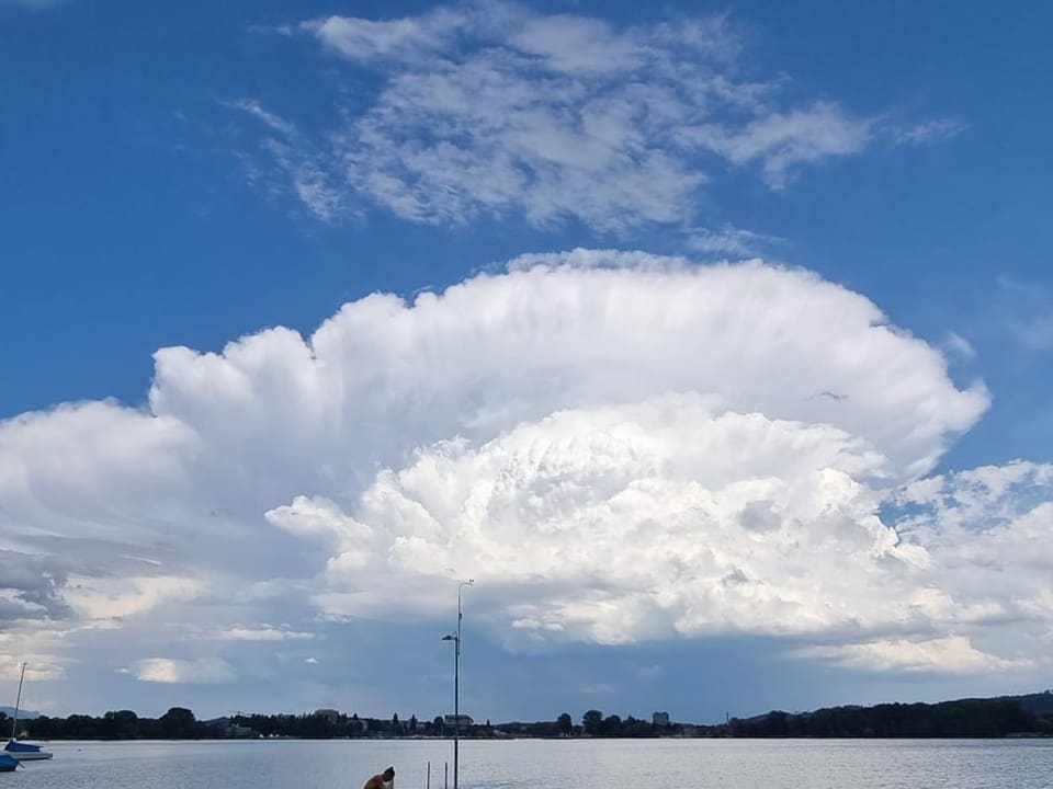 Gewitterwolke/ Ambosswolke 