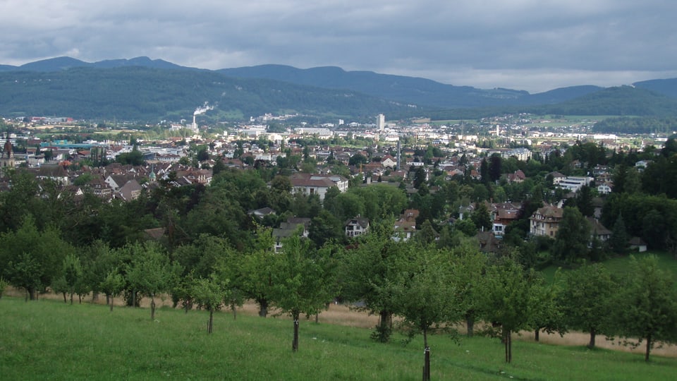 Der Blick vom Heiteren auf die Stadt Zofingen.
