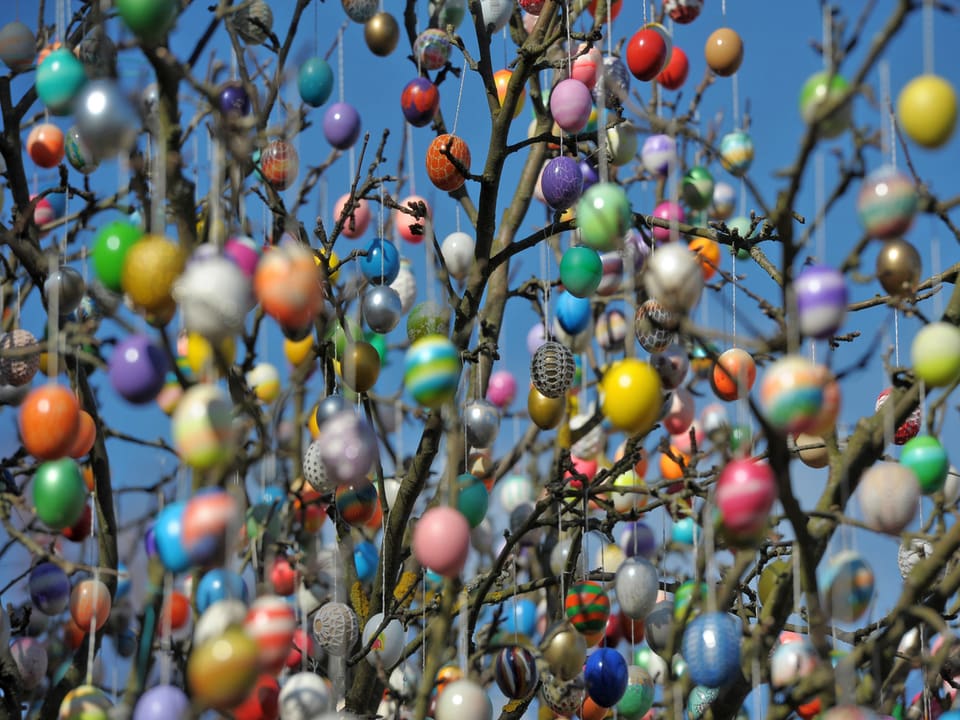 Viele bunte Ostereier hängen an einem Baum.