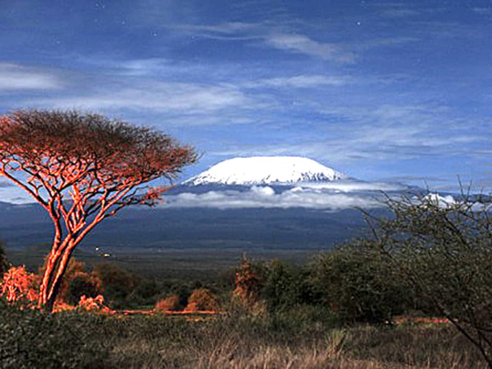 Der schneebedeckte Kilimanjaro.