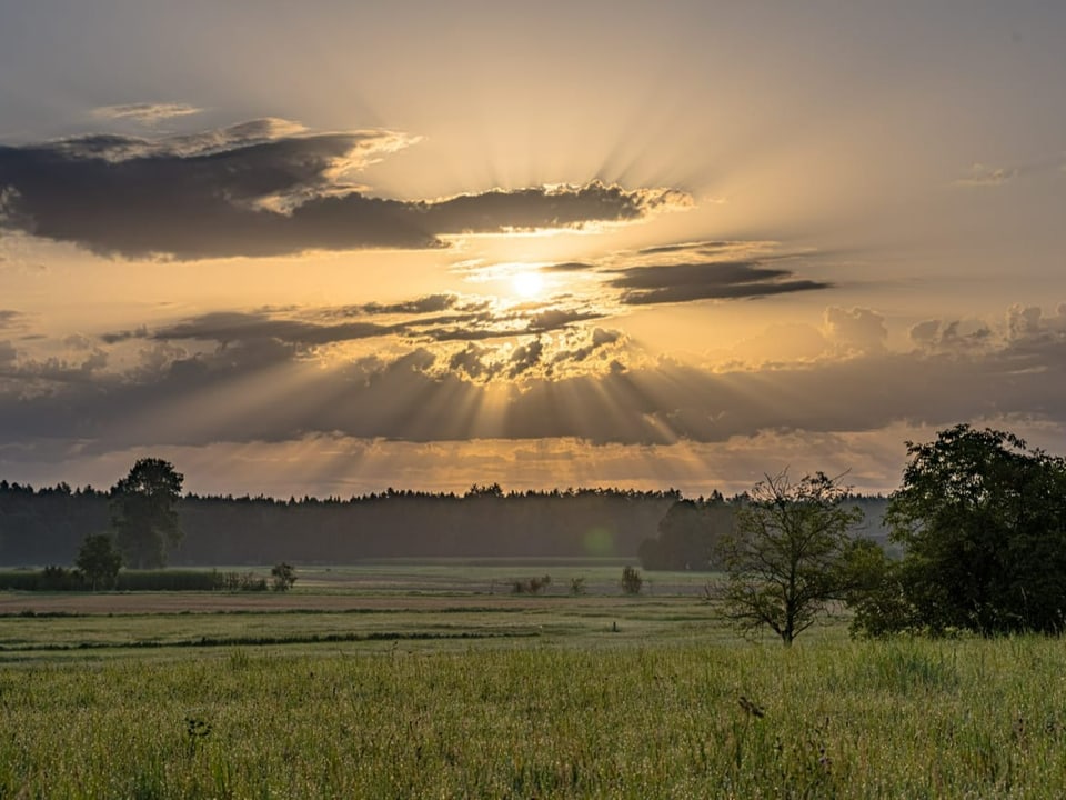 Tolle Morgenstimmung nach dem Sonnenaufgang mit Tyndall Effekt