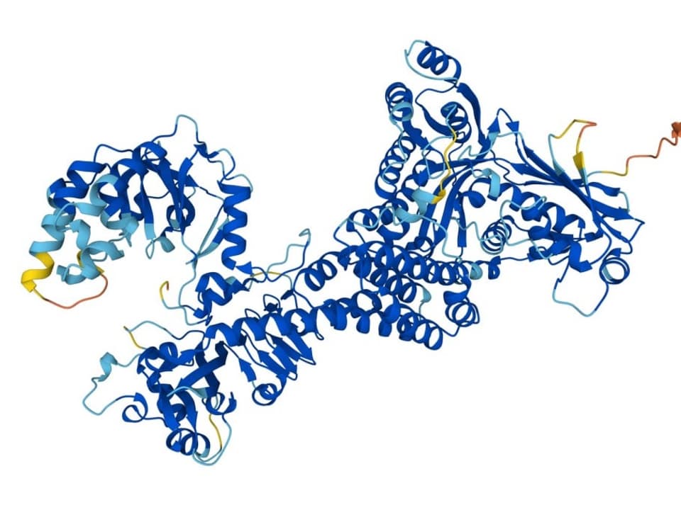 Auf dem Bild ist eine Proteinstruktur zu sehen.