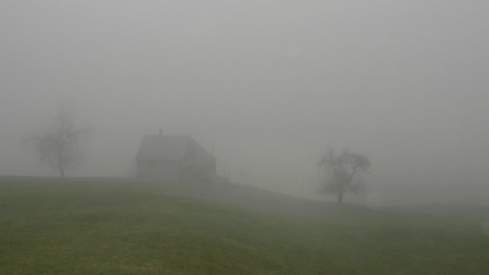 Die Umrisse eines Stalls oder eines Bauernhofs sind im Nebel nur mit Mühe zu erkennen.