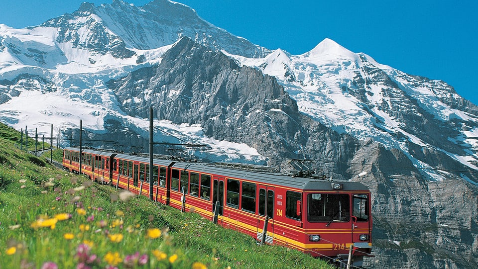 Die Jungfraubahn neben einer grünen Wiese.
