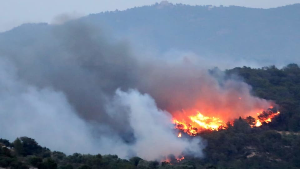 Ein Feuer zerstört den Wald in der Provinz Tarragona.