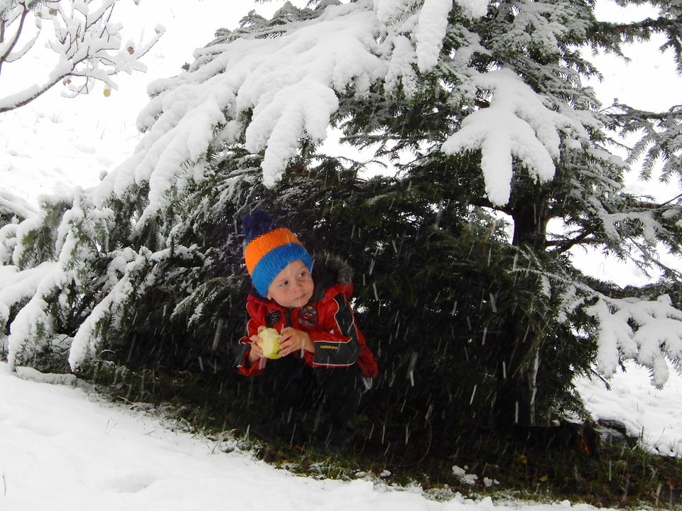kleiner Junge unter Baum mit Schnee